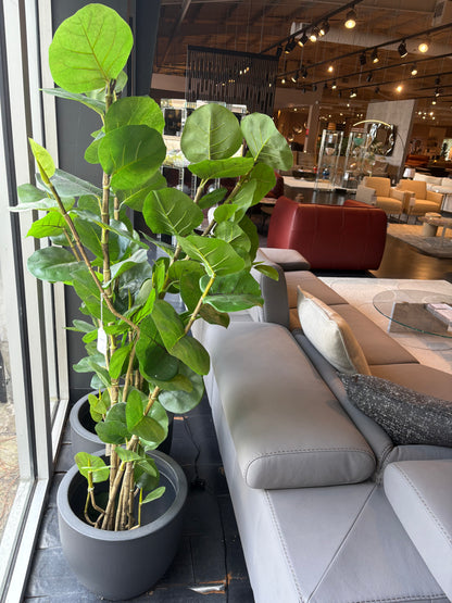 Artificial Sea Grape Plant w/ Pot