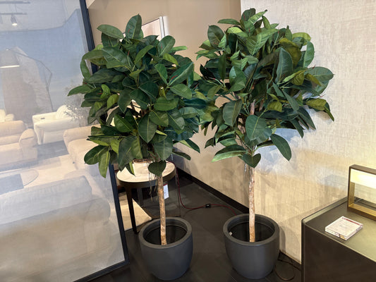 Artificial Rubber Plant Tree